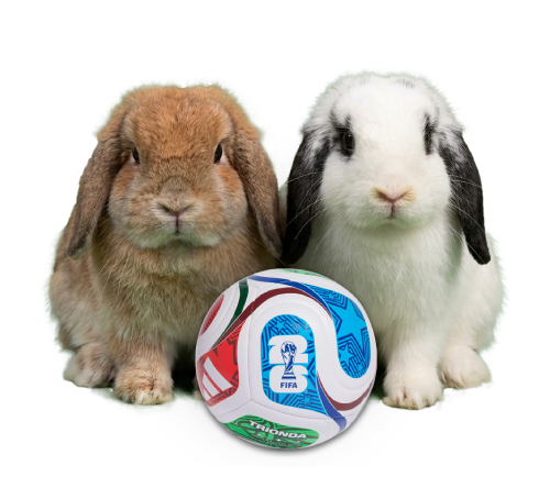 Goal Bunnies
